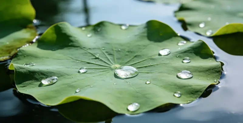 舟山乳腺癌21基因mRNA表达分析图片1