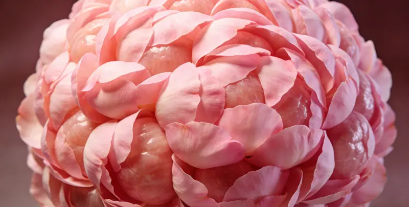 舟山BRCA1/2乳腺癌卵巢癌基因检测图片1